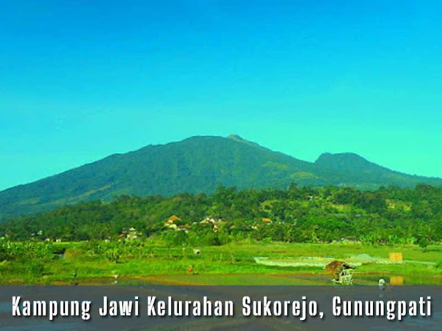 Bahasa Jawa Inggil Membudaya di Kampung Jawi Kelurahan Sukorejo, Gunungpati